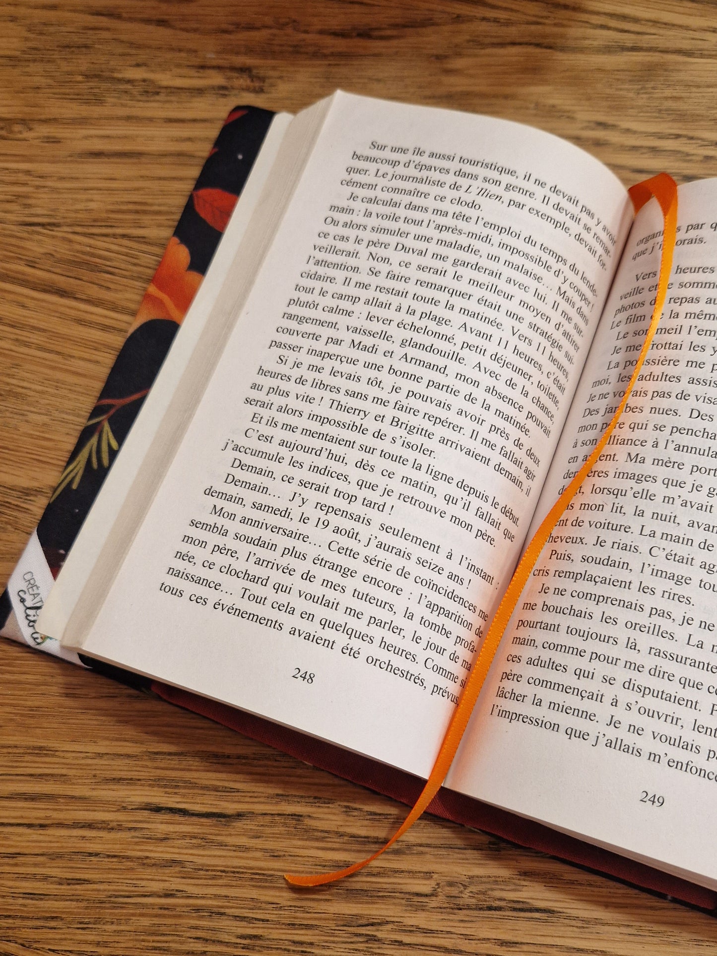 Couvre livre Champignons