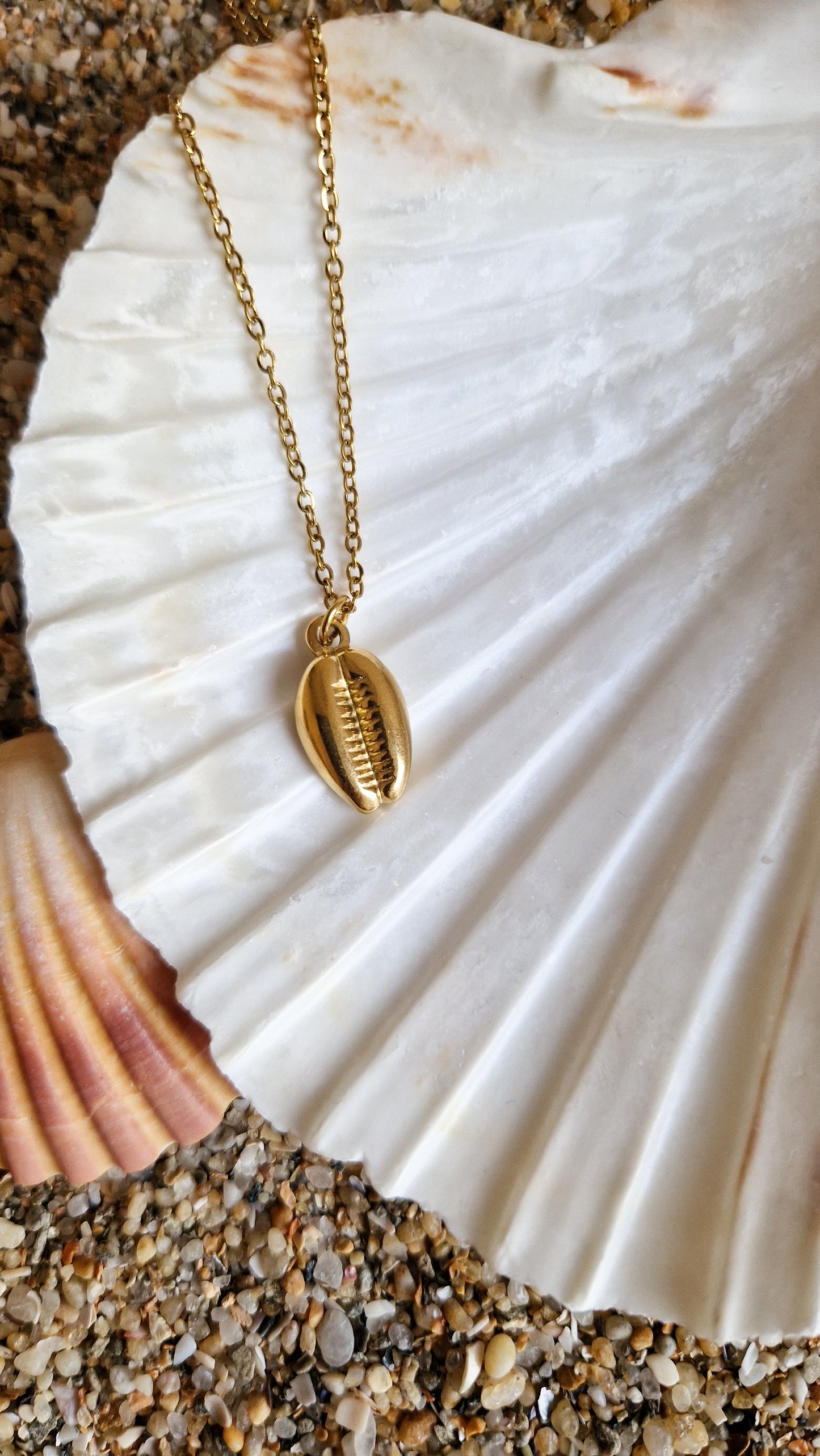 Collier Coquillage - Cauris
