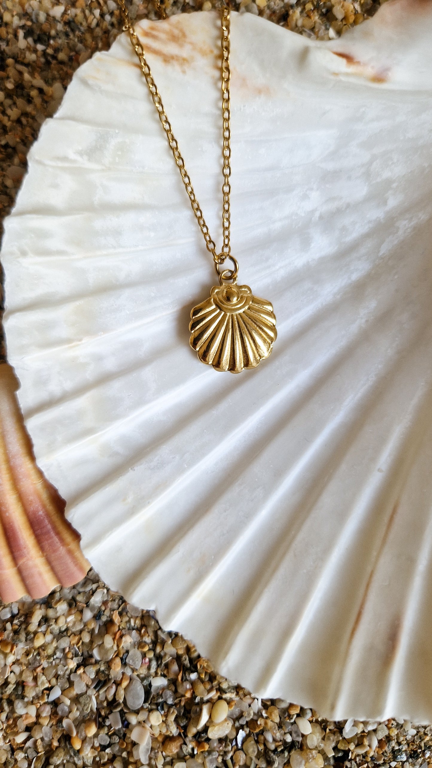 Collier Coquille St-Jacques