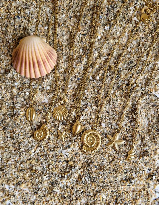 Collier Coquillage - Nautile