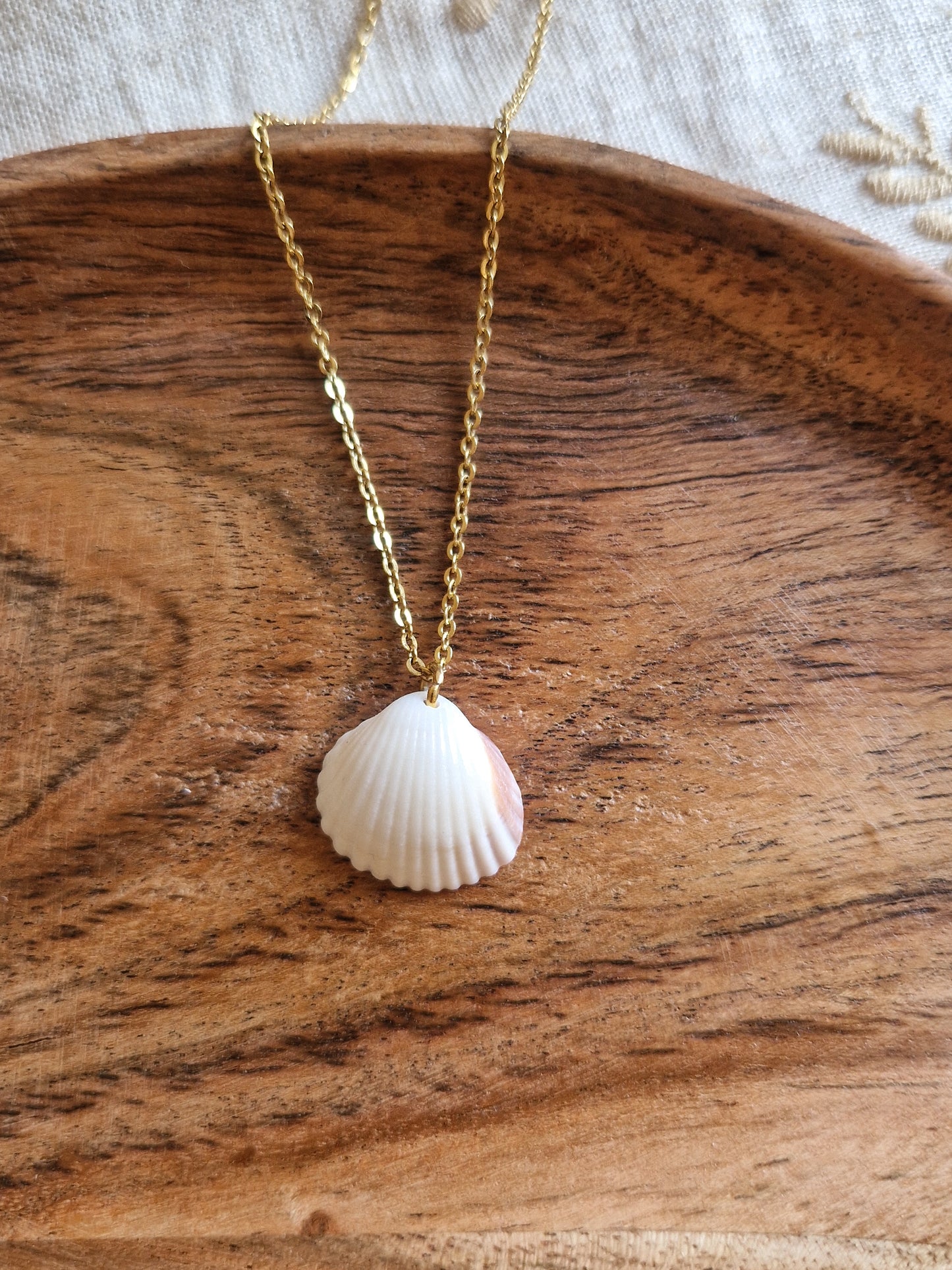 Collier Coquillage