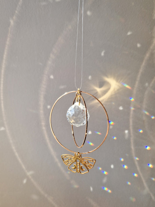 Attrape-Soleil Papillon de nuit