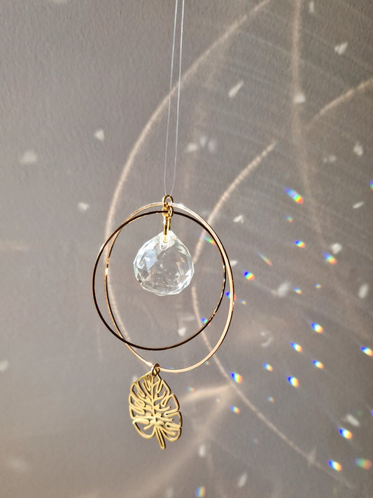 Attrape-Soleil Monstera