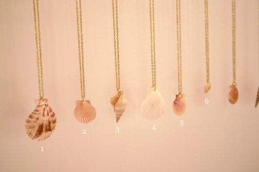 Collier Coquillages du Monde