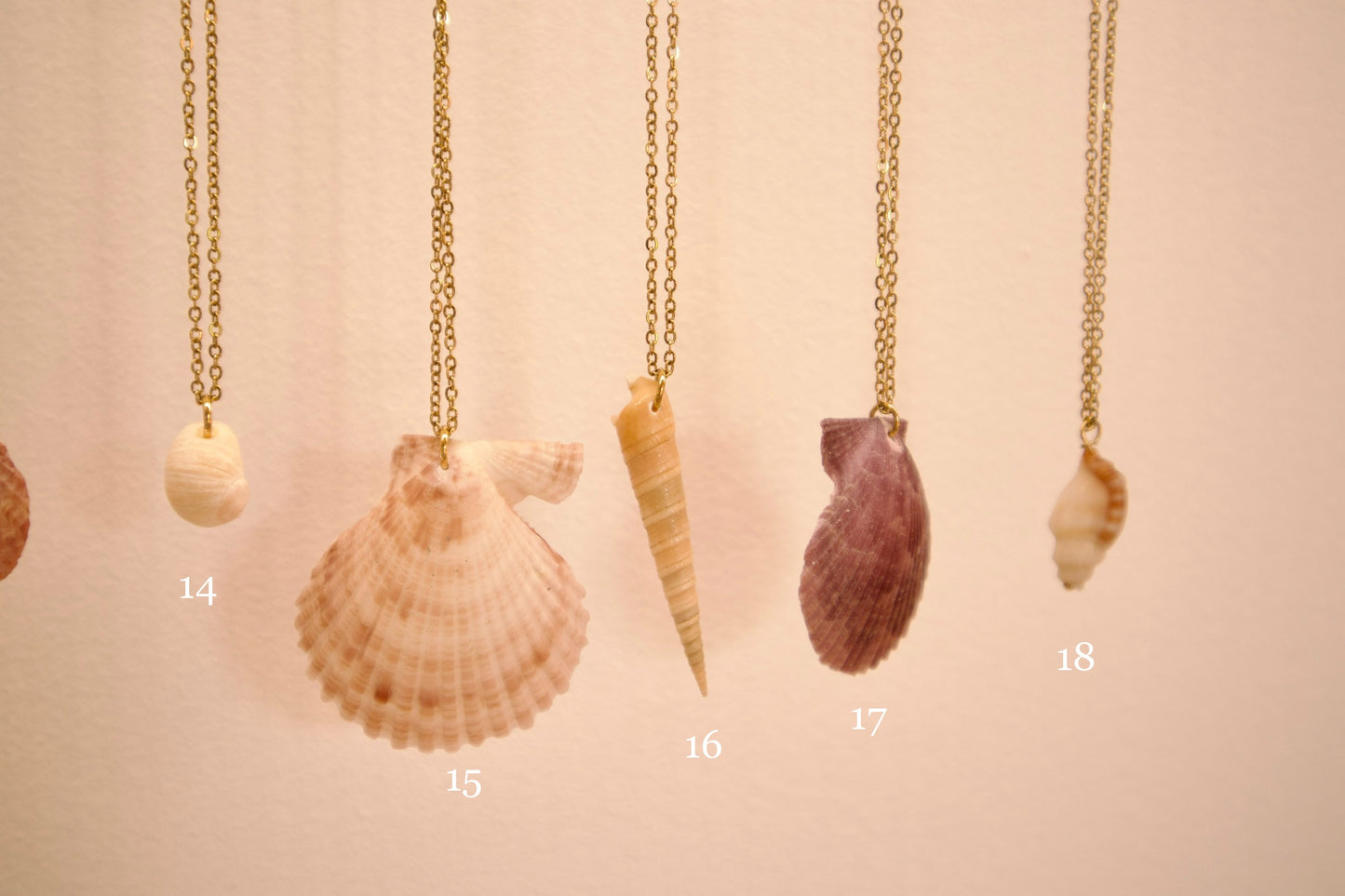 Collier Coquillages du Monde