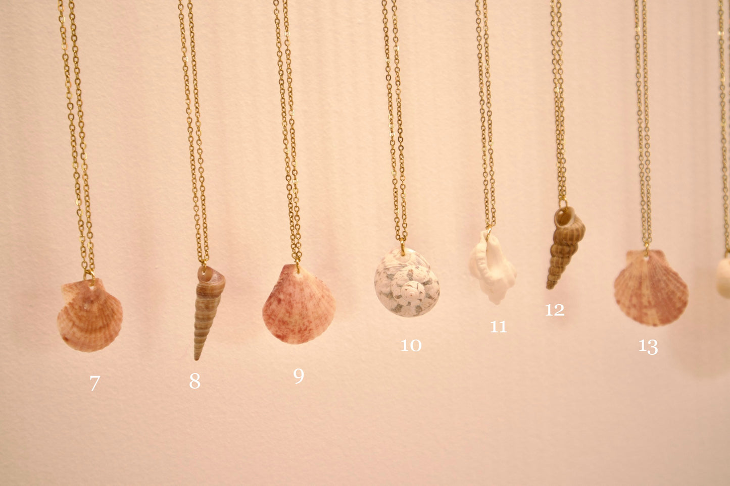 Collier Coquillages du Monde