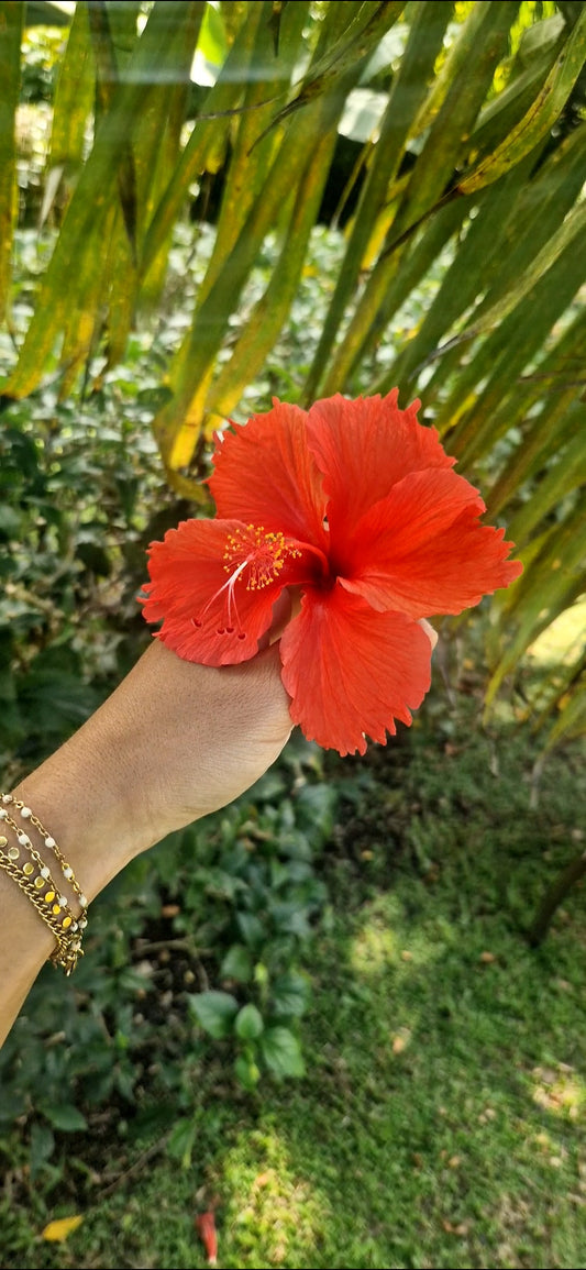 Collier Fleur d'hibiscus