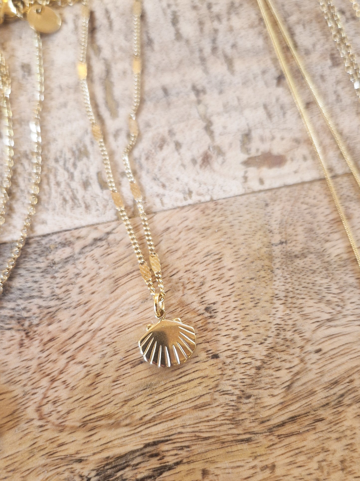 Collier Coquille