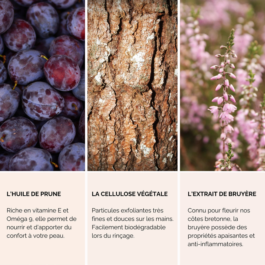 Gommage Mains – Nectar de Bruyère