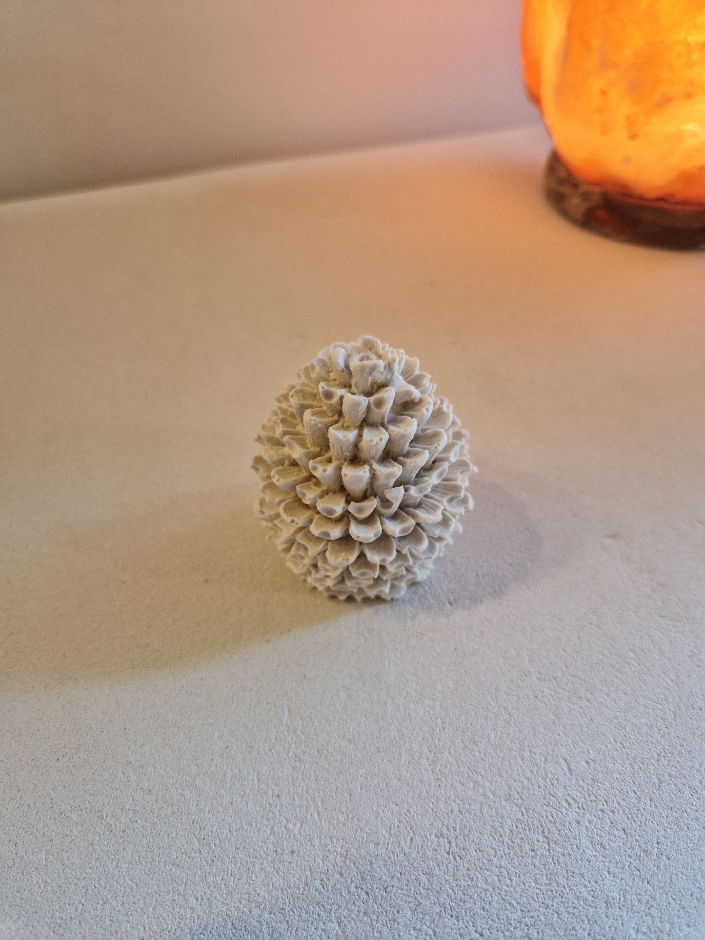 Pomme de pin