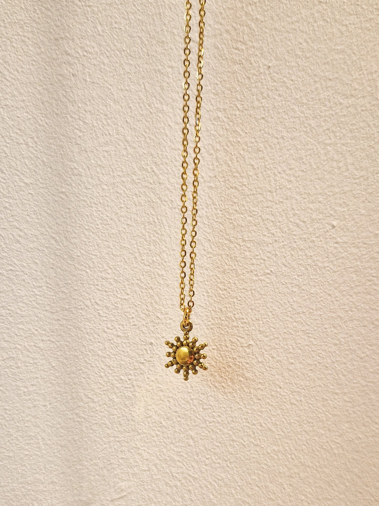 Collier Haole