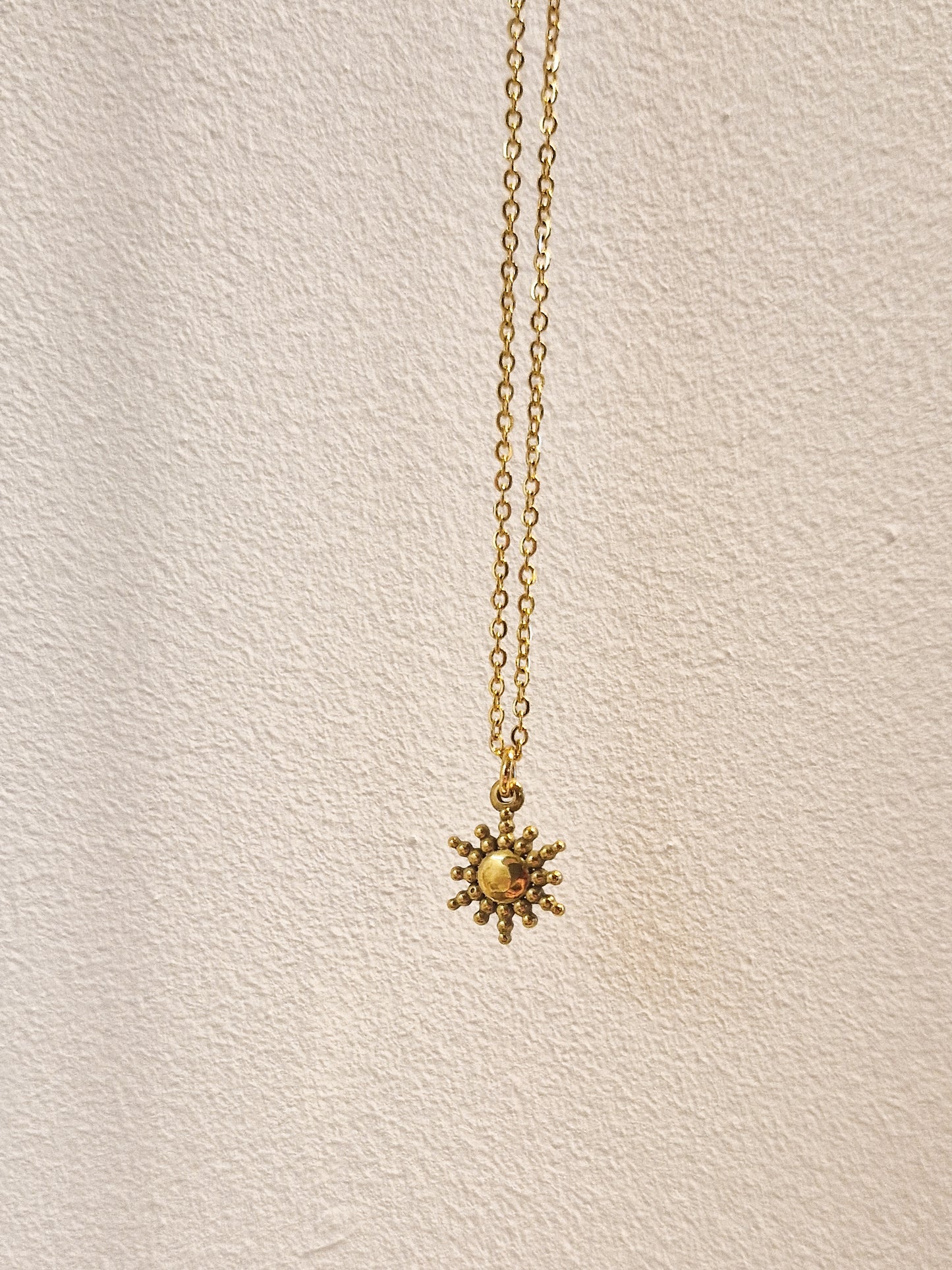 Collier Haole