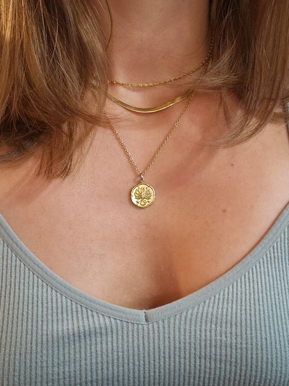Médaille Signe Astrologique