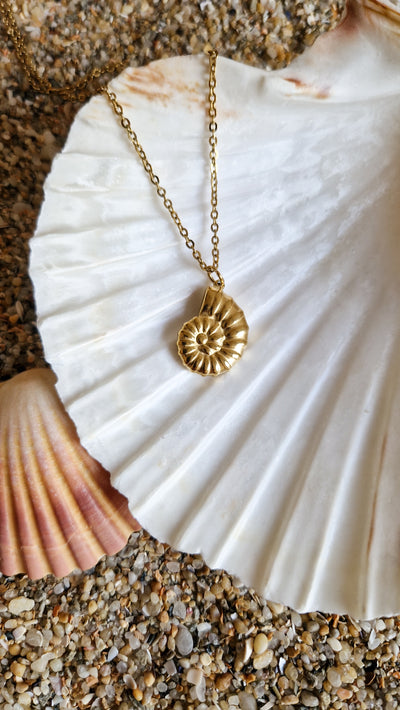 Collier Coquillage - Nautile