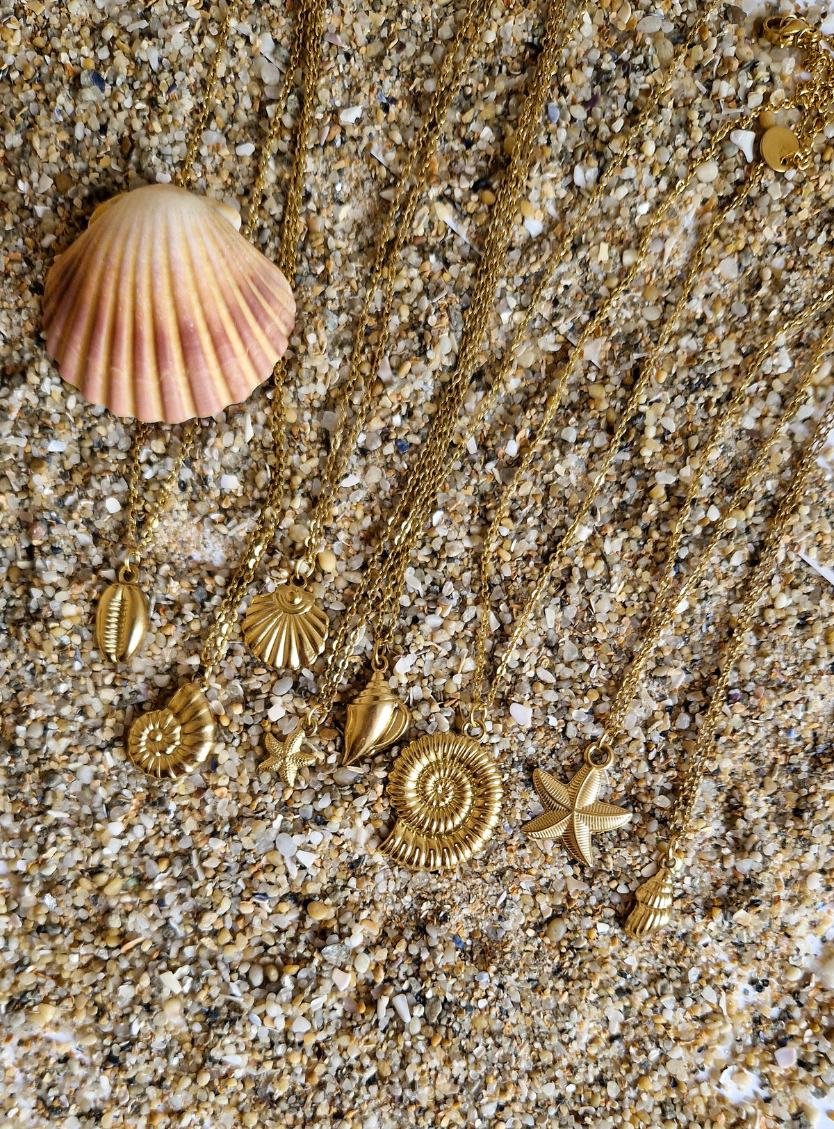 Collier Coquillage - Cauris