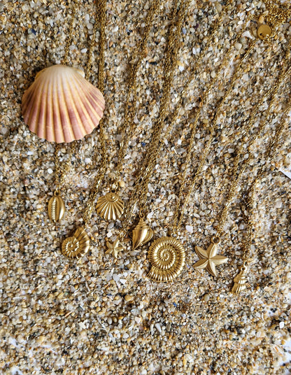 Collier Coquillage - Nautile