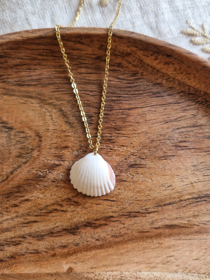 Collier Coquillage