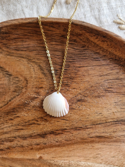 Collier Coquillage