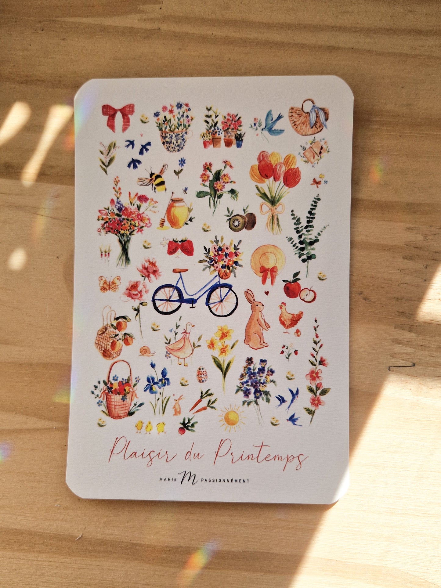 Carte postale Plaisir de printemps