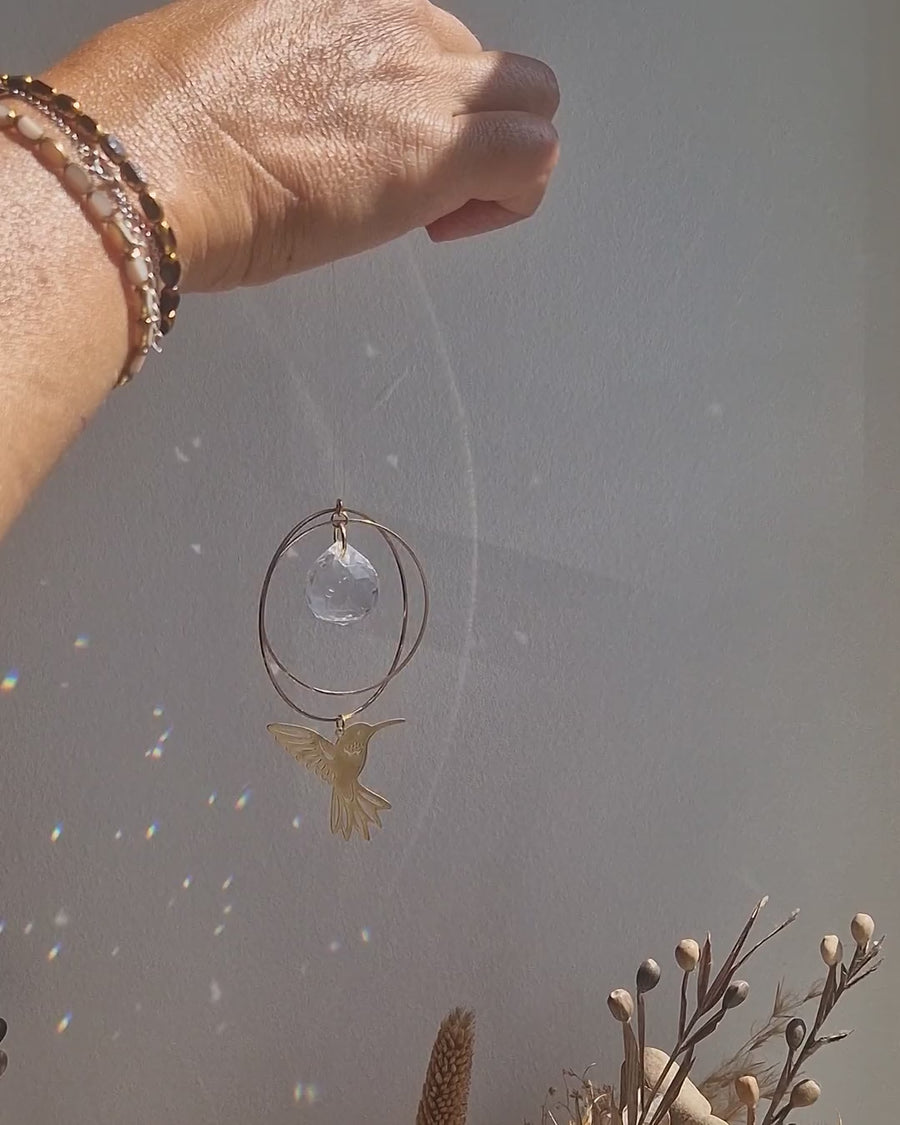 Vidéo : l'attrape-soleil Colibri tourne dans la lumière, arcs-en-ciel sur le mur