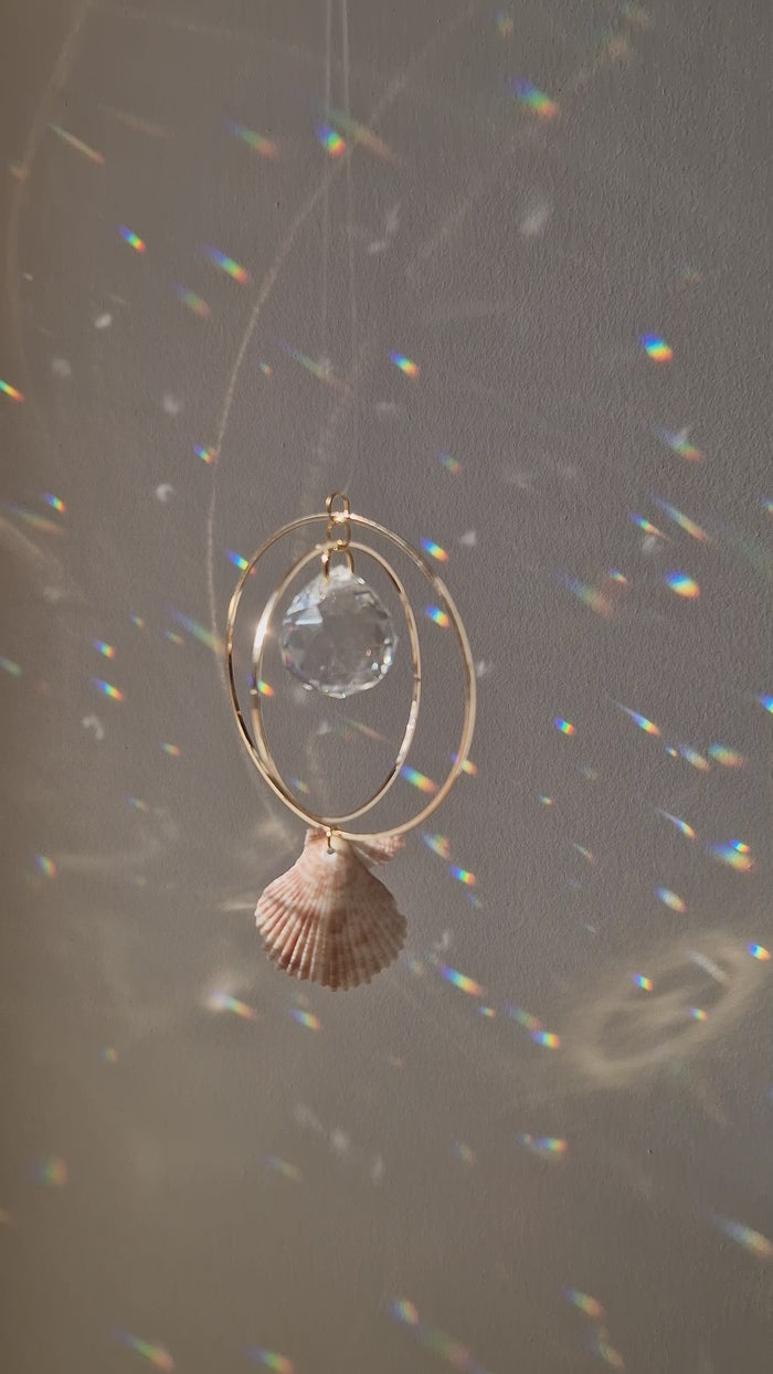 Attrape-Soleil Coquillage 3 - Modèle unique