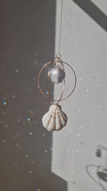 Attrape-Soleil Coquillage 2 - Modèle unique