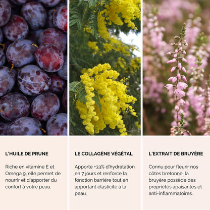 Soin douceur mains et ongles