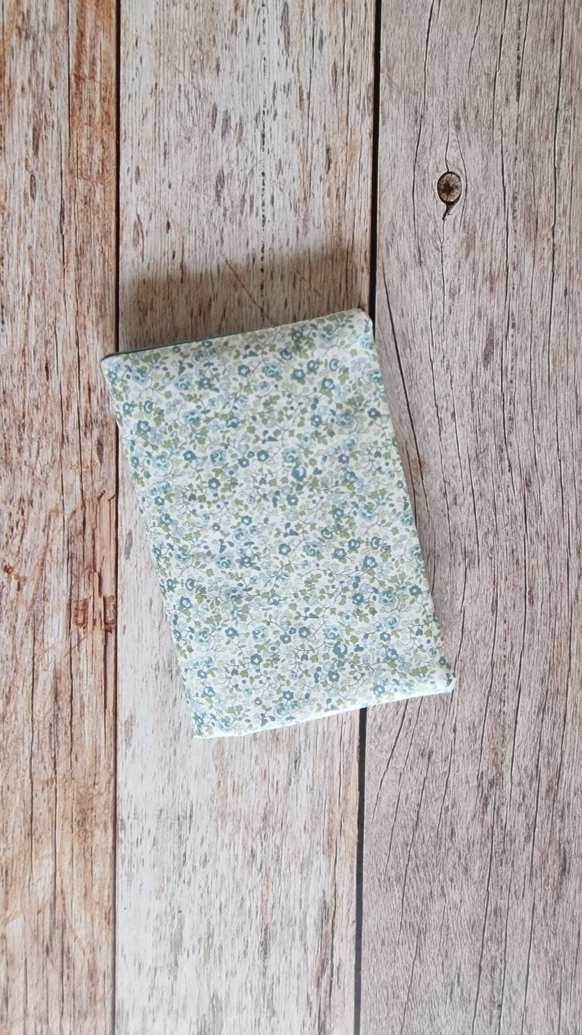 Couvre livre Eloise