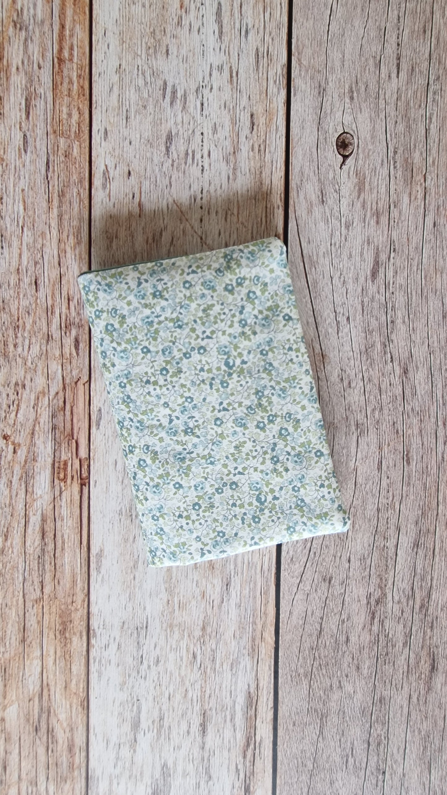 Couvre livre Eloise