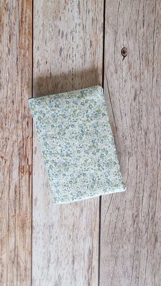 Couvre livre Eloise