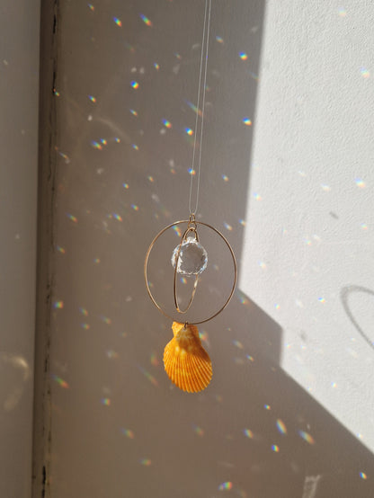 Attrape-Soleil Coquillage 1 - Modèle unique