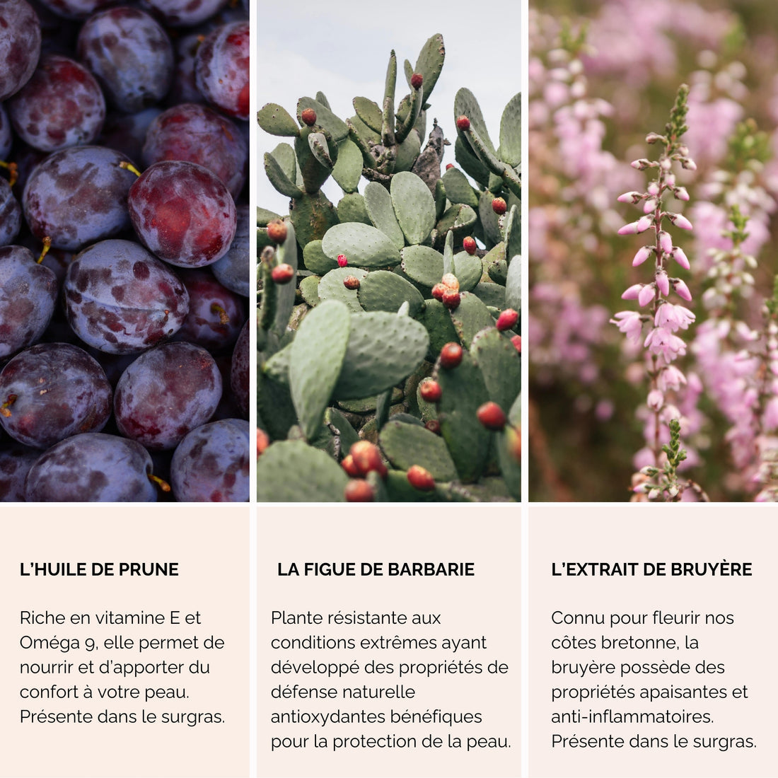 Huile sèche visage, corps, décolleté