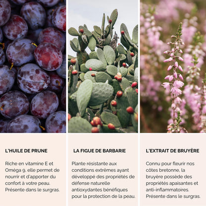 Huile sèche visage, corps, décolleté