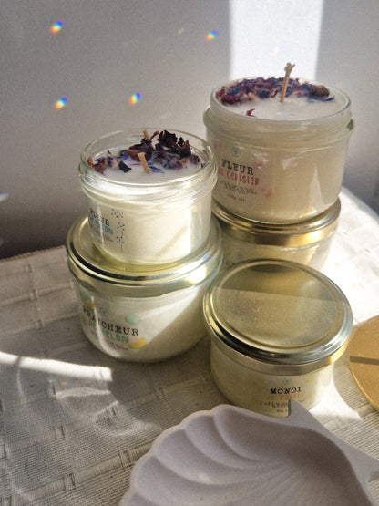 Bougies végétales