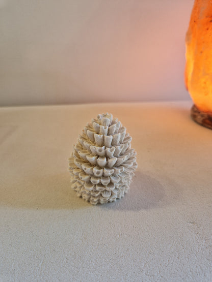 Pomme de pin