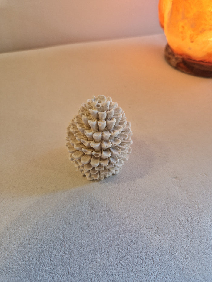 Pomme de pin