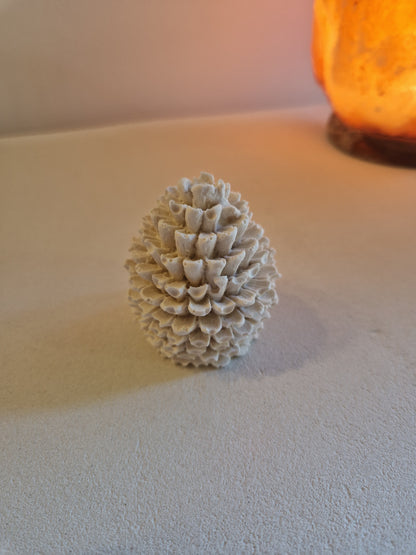 Pomme de pin