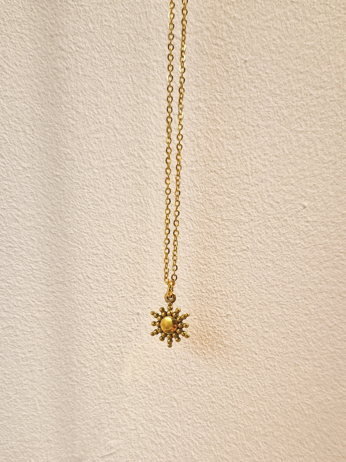 Collier Haole