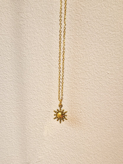 Collier Haole