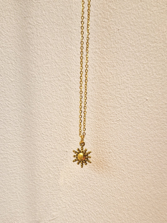Collier Haole