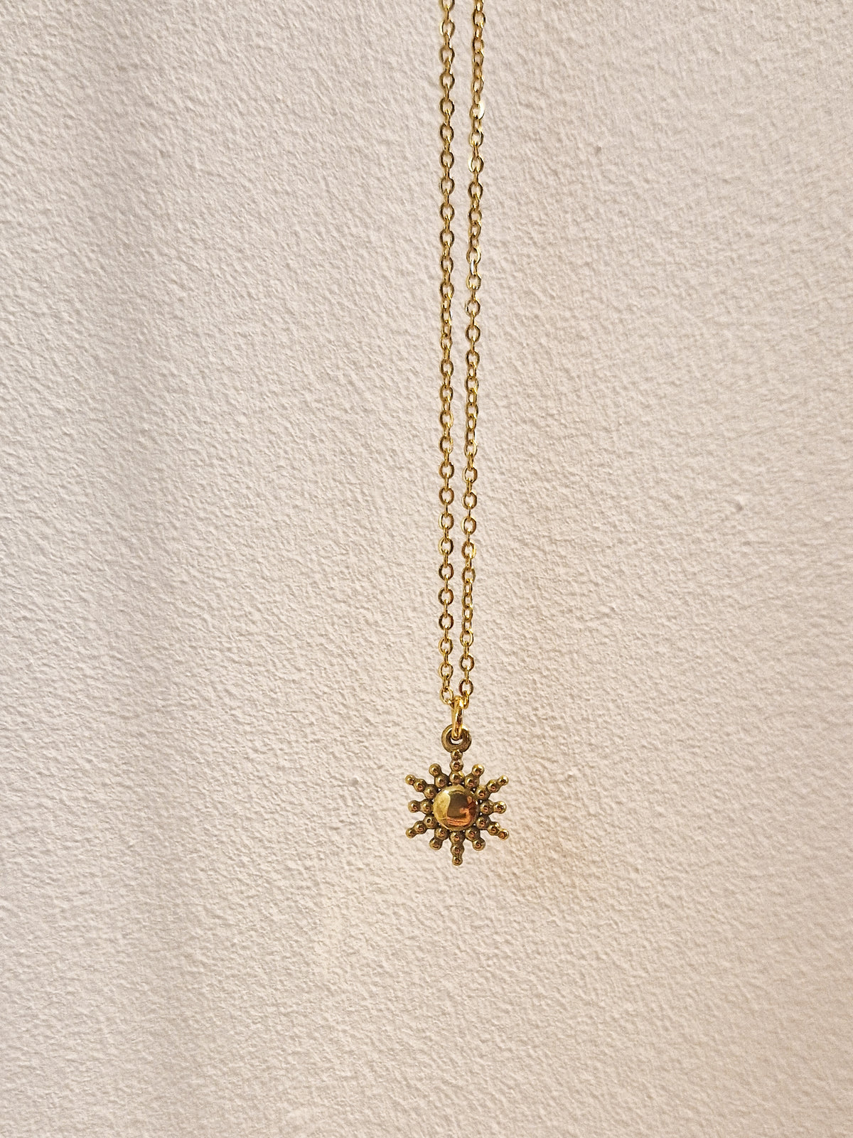 Collier Haole