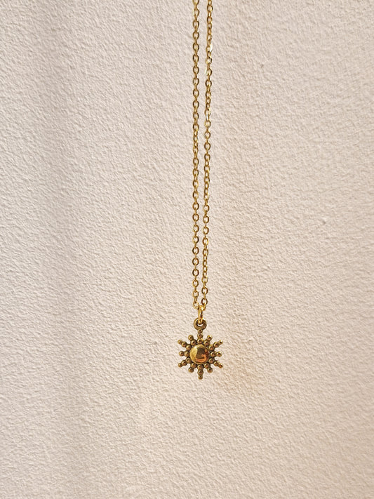 Collier Haole